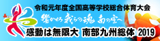 感動は無限大 南部九州総体 2019 平成31年度全国高等学校総合体育大会(インターハイ)バナー